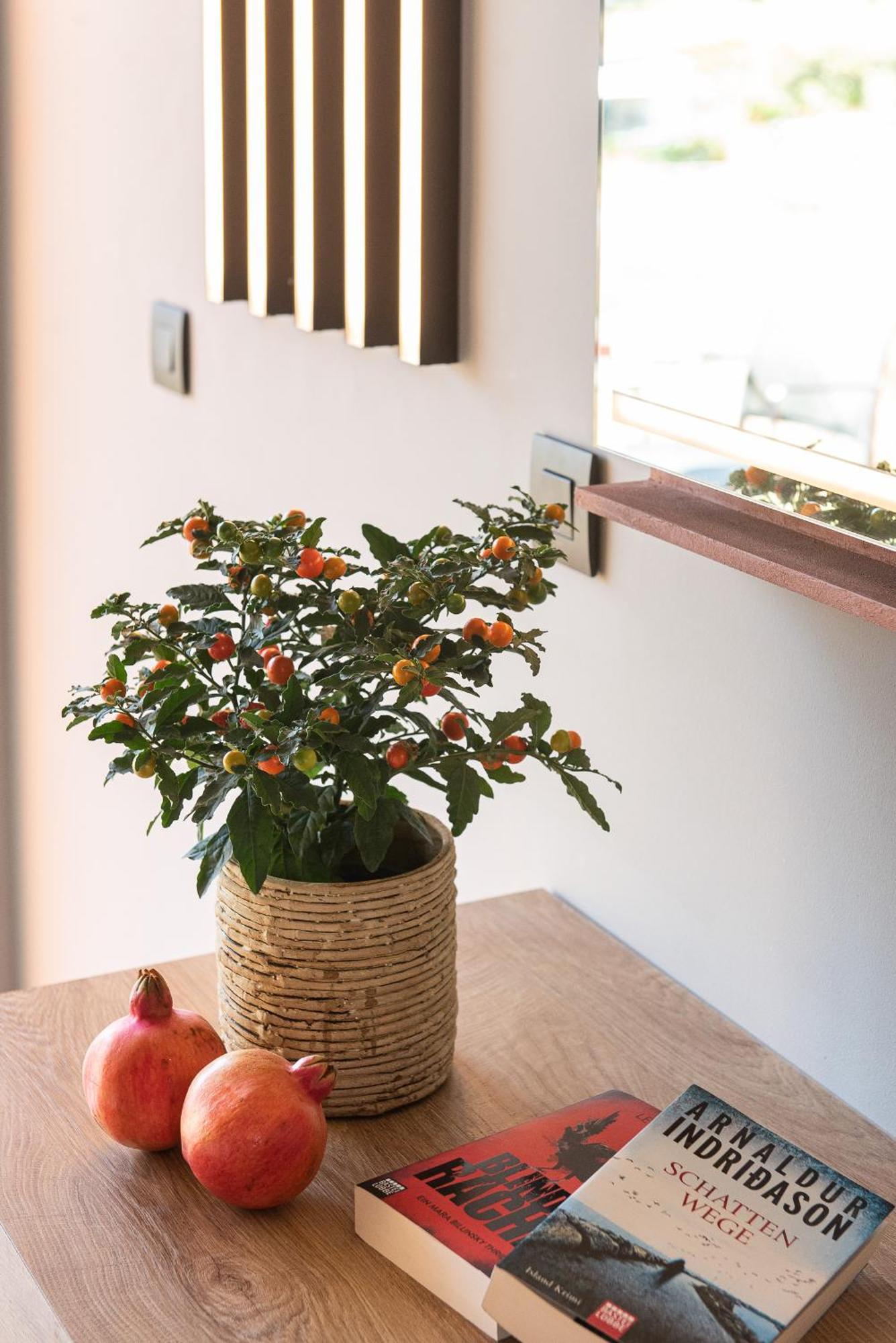 Pilot Amphora Boutique Hotel "Adults Only" Georgioupoli Rum bild
